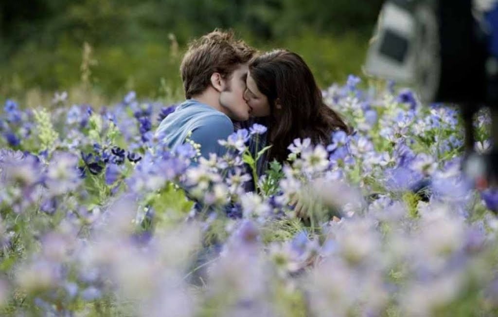 Eclipse Meadow Scene