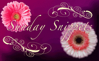 Sunday Snippets #11