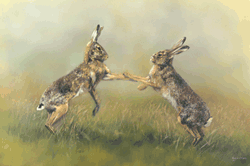[boxing-hares2-small.gif]