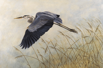 [heron-in-flight-large.gif]