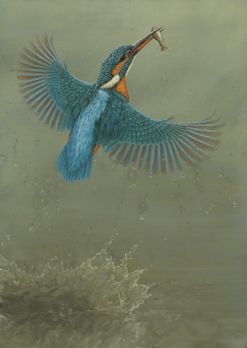 [a-splash-of-colour.gif]