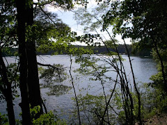 Walden Pond