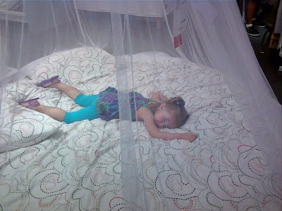 Princess  Canopy Mosquito on Anywho Ily Found A Princess Bed That She Just Adored