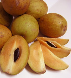 Manfaat buah sawo untuk kesehatan
