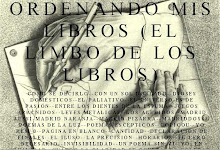 ORDENANDO MIS LIBROS (EL LIMBO DE LOS LIBROS)