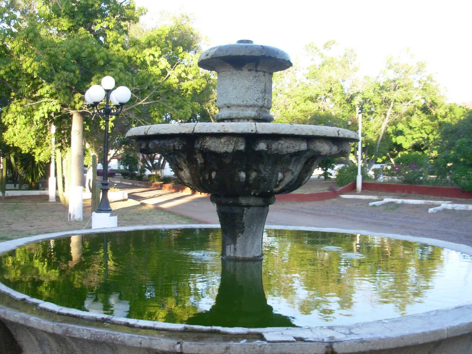[DSCN4712.JPG]