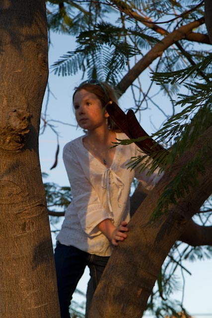 Ceilydh Set Sail Shakshak