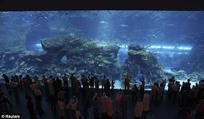 Dubai+mall+aquarium+wiki