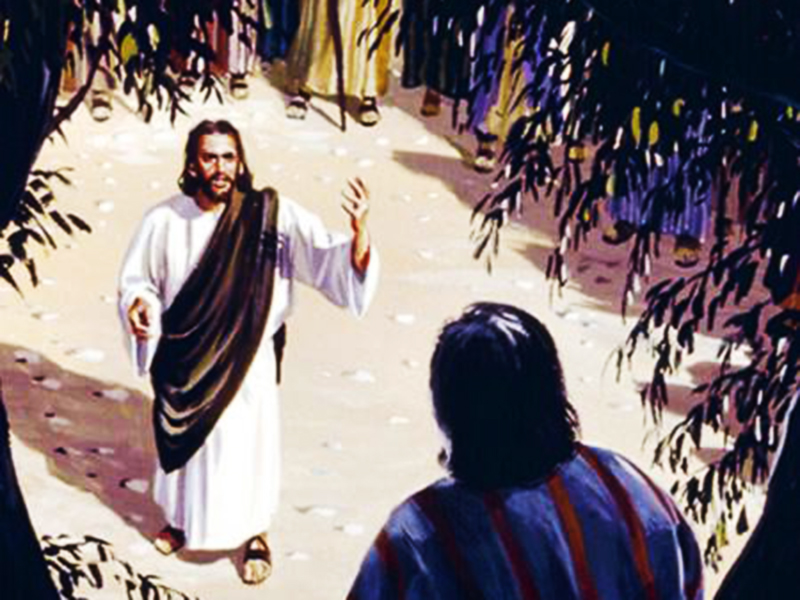 jesus y zaqueo