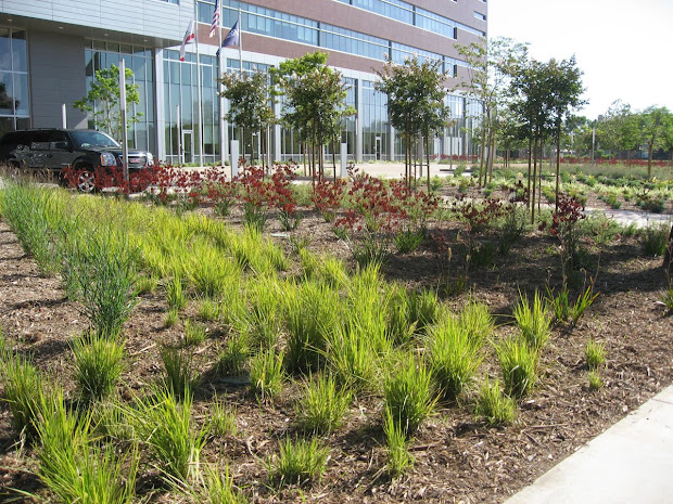 resmed campus combines modern
