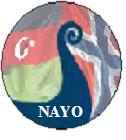 NORWEGIAN AZERBAIJANIS' YOUTH ORGANIZATION                        - NAYO-