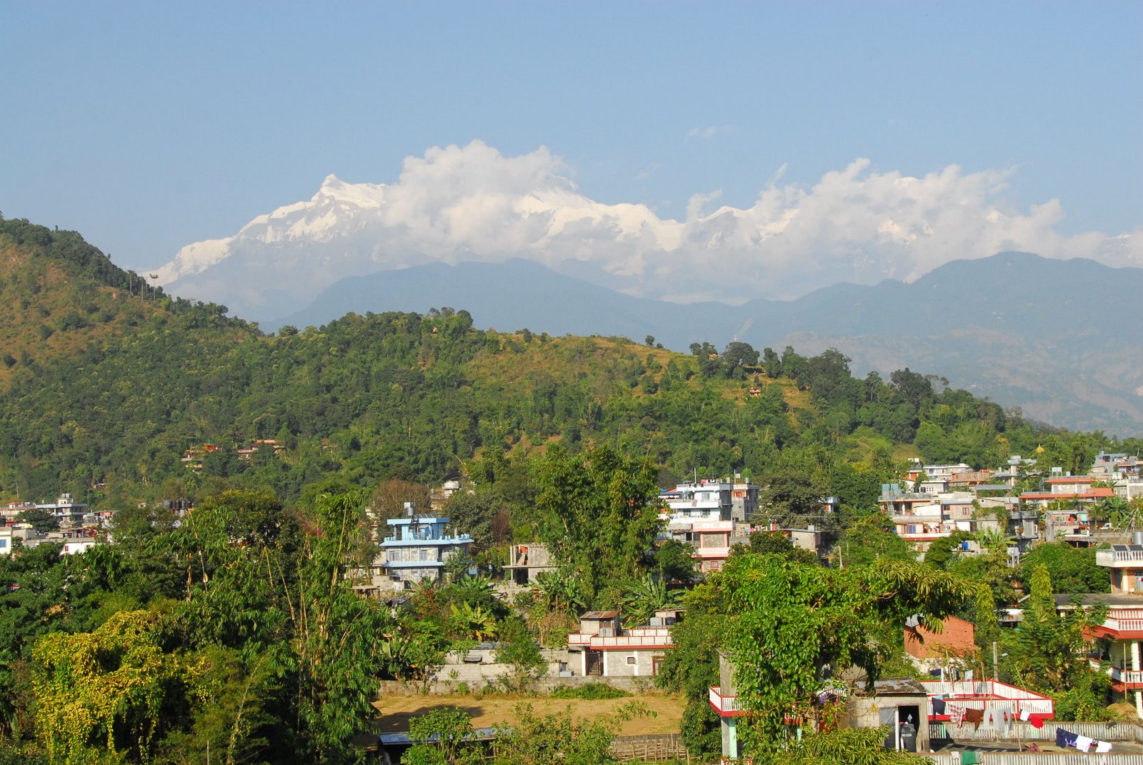 [DSC_0955.JPG]