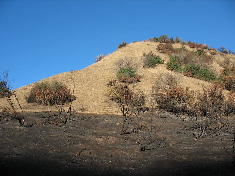 Carbon Canyon Chronicle The Wild[er] West End of Soquel Canyon