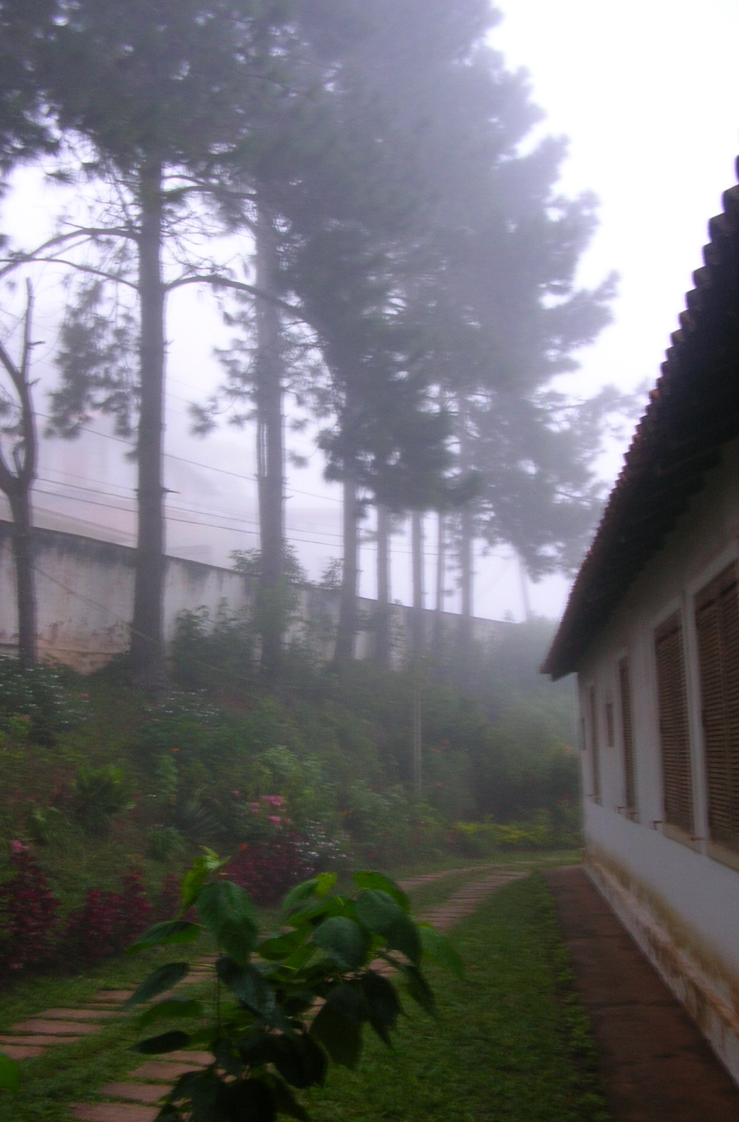 [Adianna+fog+de+outono+(1).JPG]