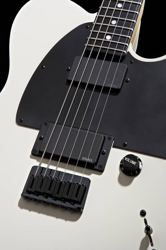 fender_JimRoot_blanche.jpg