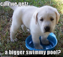 Can we get a bigger swimming pool now? Please?