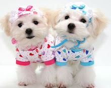 Puppy Twins: Who's favorite?