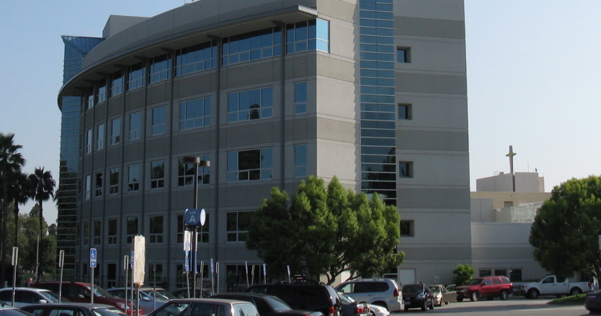the sky is big in pasadena arcadia methodist hospital