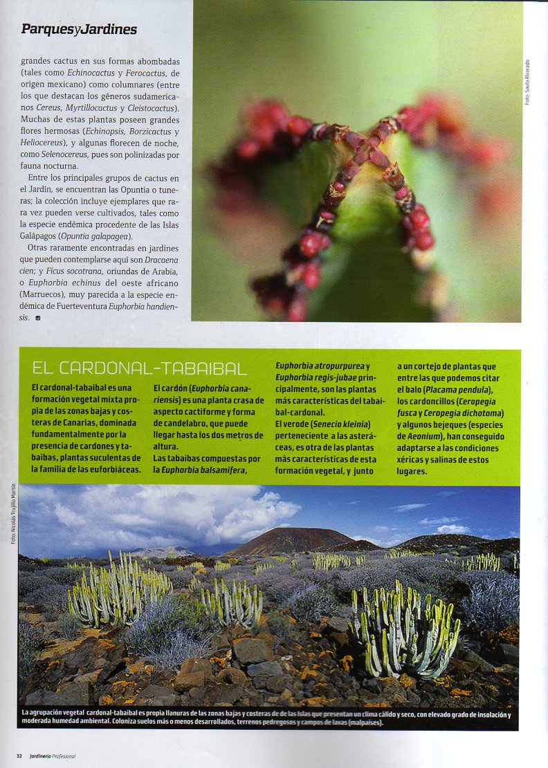 [20090412-pagina-aparece-mi-foto.jpg]