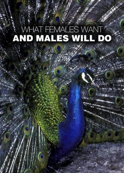 [20090417-documental-armas-de-seduccion.jpg]