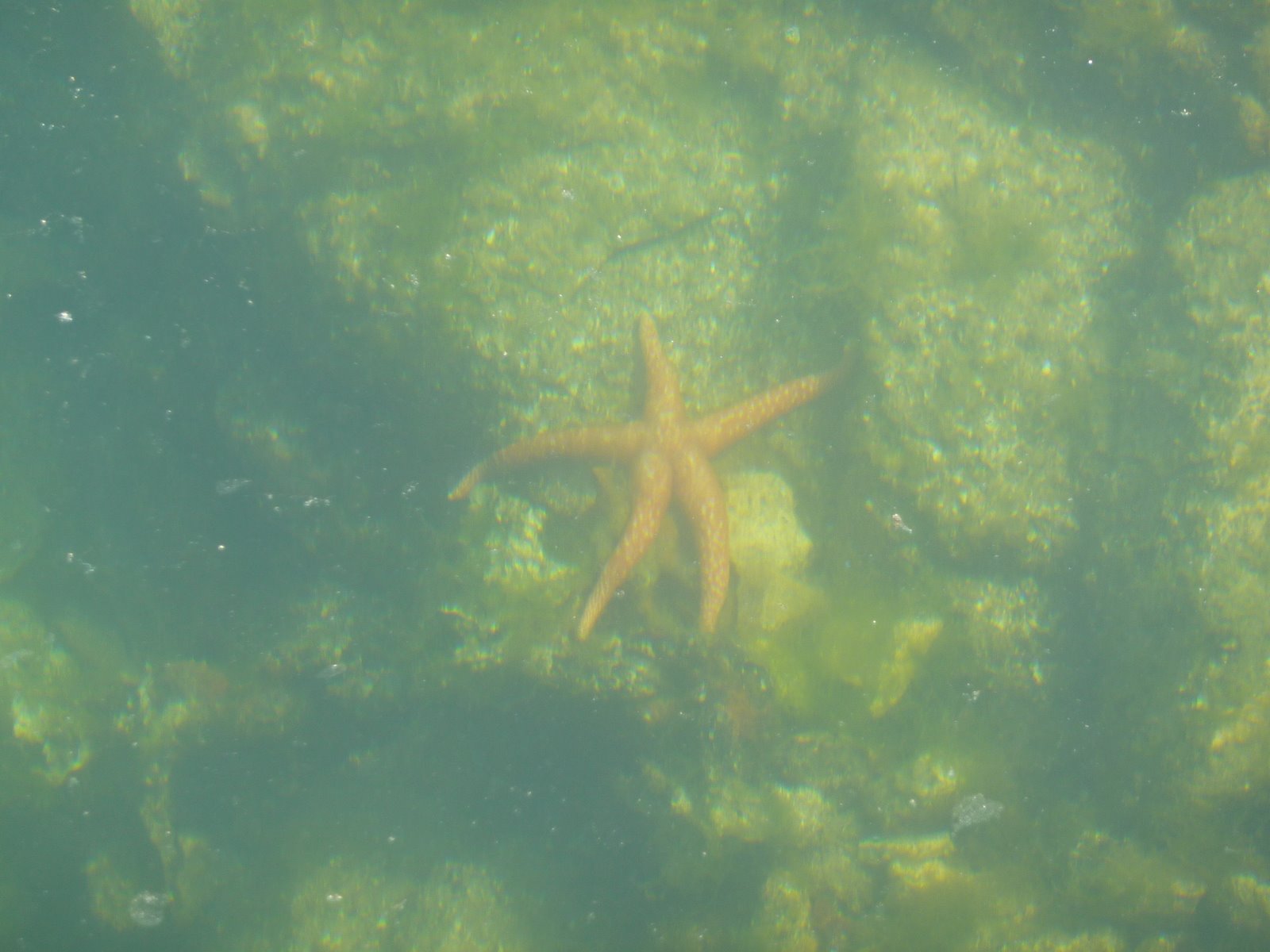[P1000608.JPG]