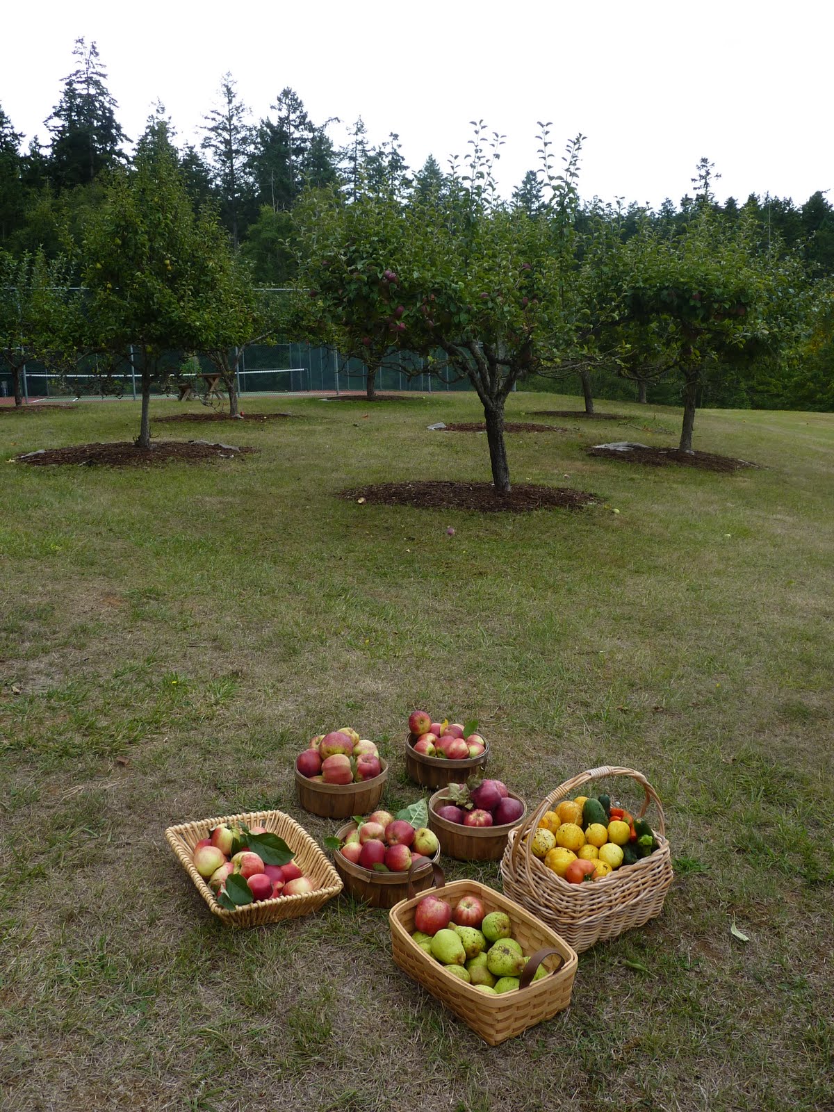 [P1010541.JPG]