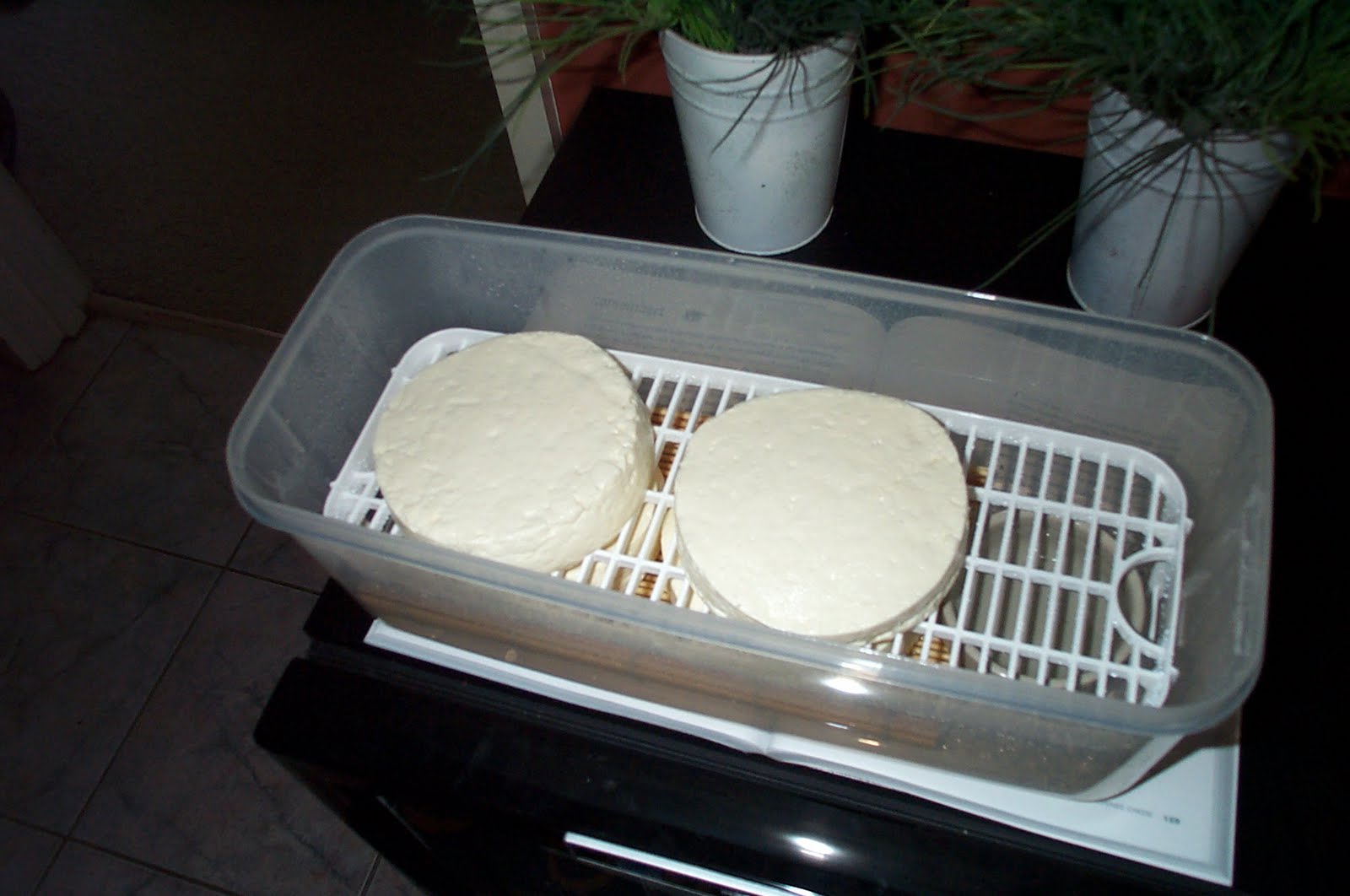 Cheese Fridge Humidity The Greening of Gavin