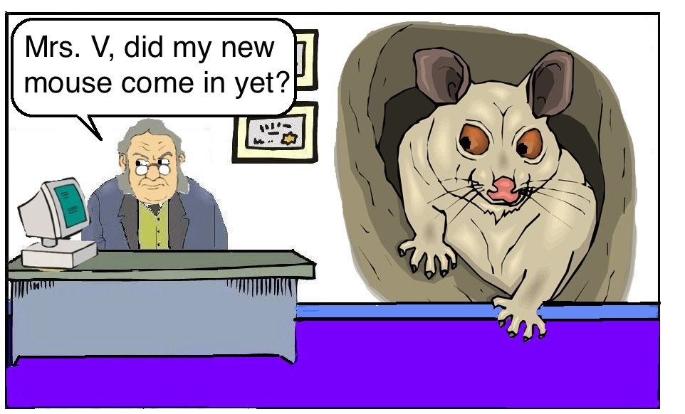 [mousehole.jpg]