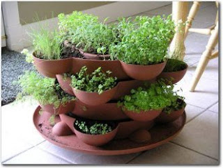 Indoor Herb Garden on Some Tips On Growing An Indoor Herb Garden