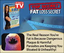 TOP SECRET FAT LOSS