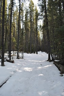prairie trail elbow falls