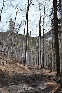 prairie trail elbow falls