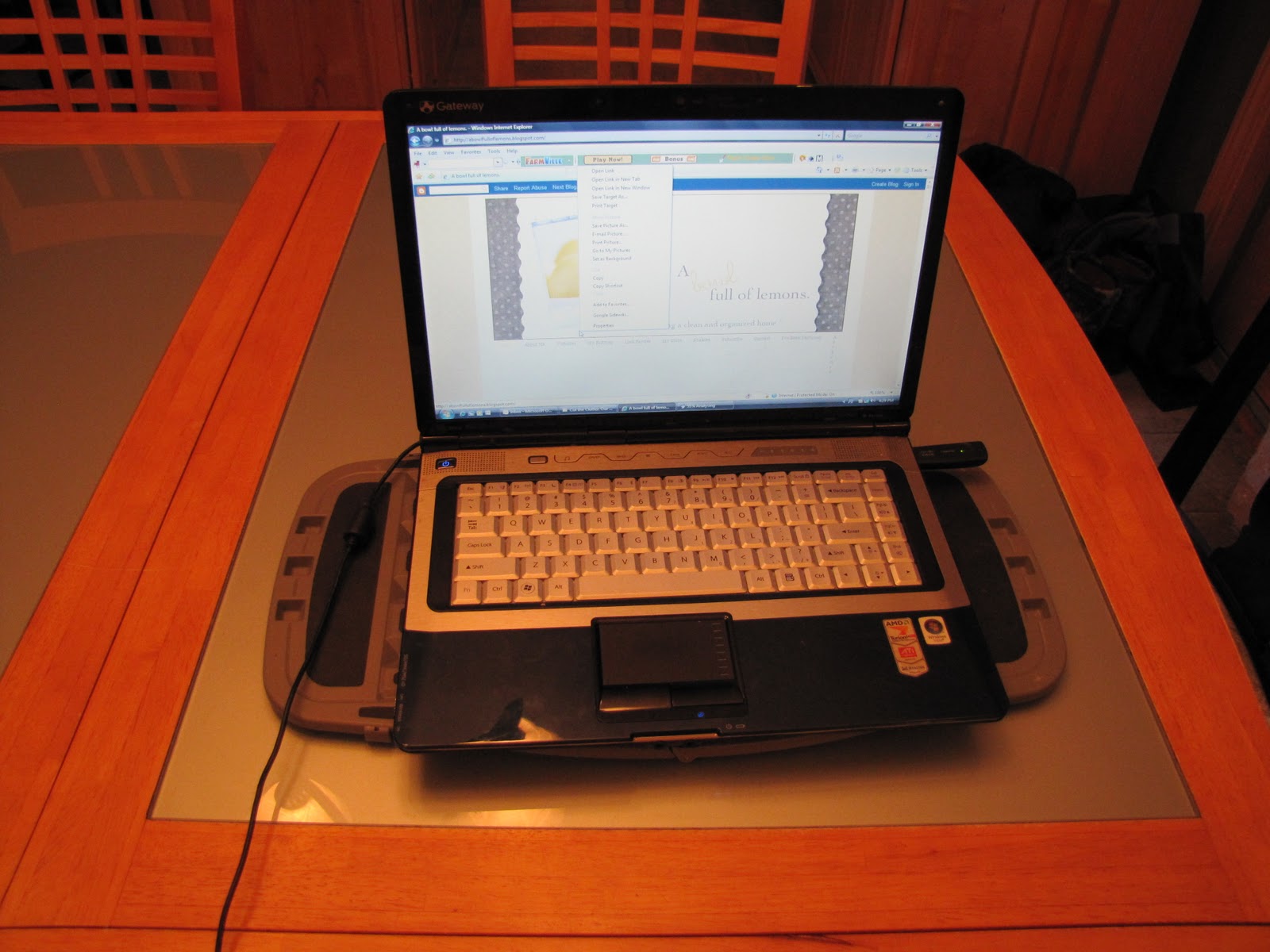 Sustainably Chic Designs ORGANIZATION Your computer desk (top only