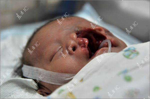 cute newborn baby girl cute newborn baby girl