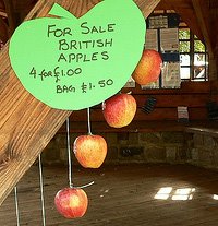 [appleday3.jpg]