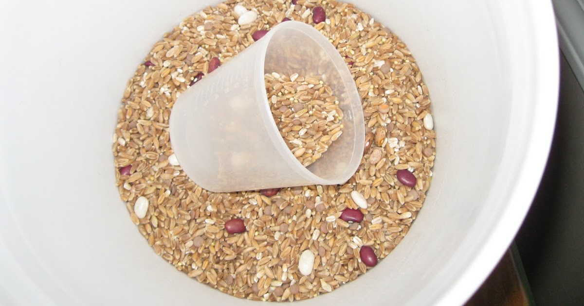 Best Ever Recipe Collection Ezekiel Muffins