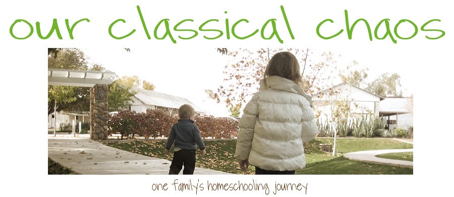 Our Classical Chaos