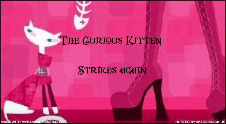 The Curious Kitten Strikes Again
