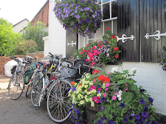 Bikes in Bloom