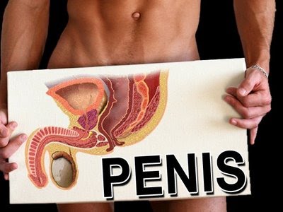 [penis.bmp]