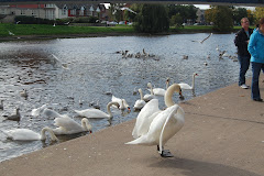 Sungai di Exeter, UK.