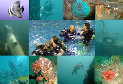 Bramston Sub Aqua Club