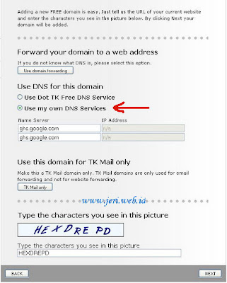 DNS Setting domain name Tk
