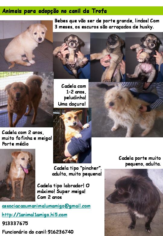 [Panfleto+Abril.jpg]