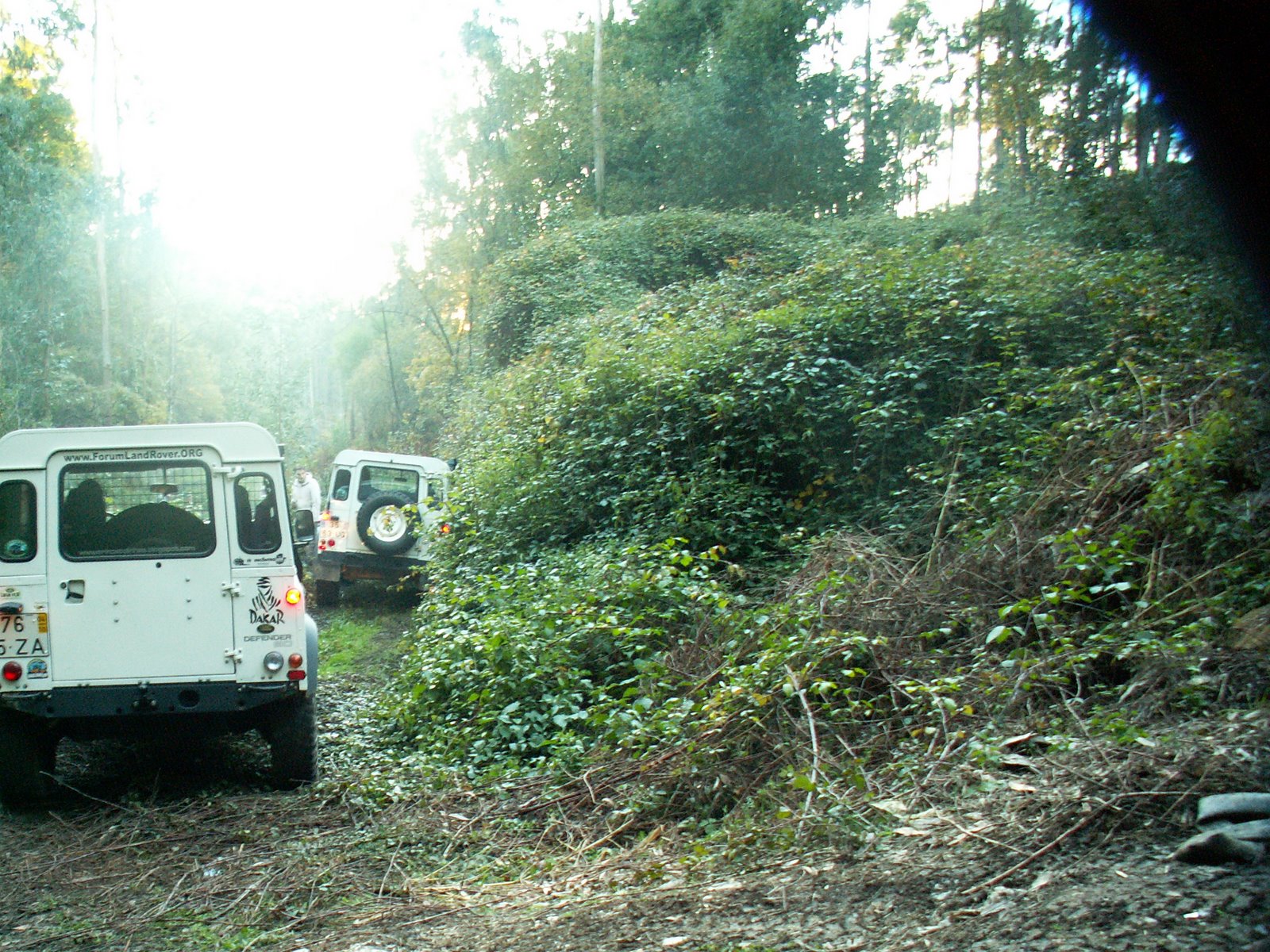 [PICT3174.JPG]