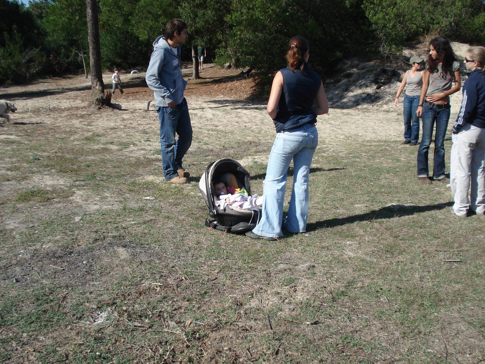 [DSC06383.JPG]