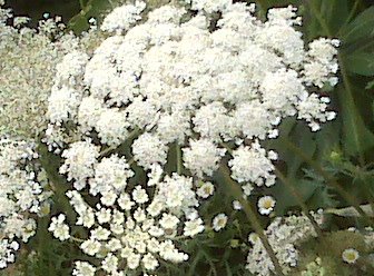 [=?utf-8?B?SU1HMDAzMTMuanBn?=-784558]