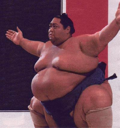 [SUMO.jpg]