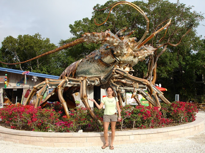 Islamorada Spiny Lobster