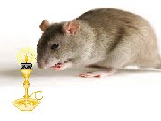 [Fousek+svicka2.bmp]